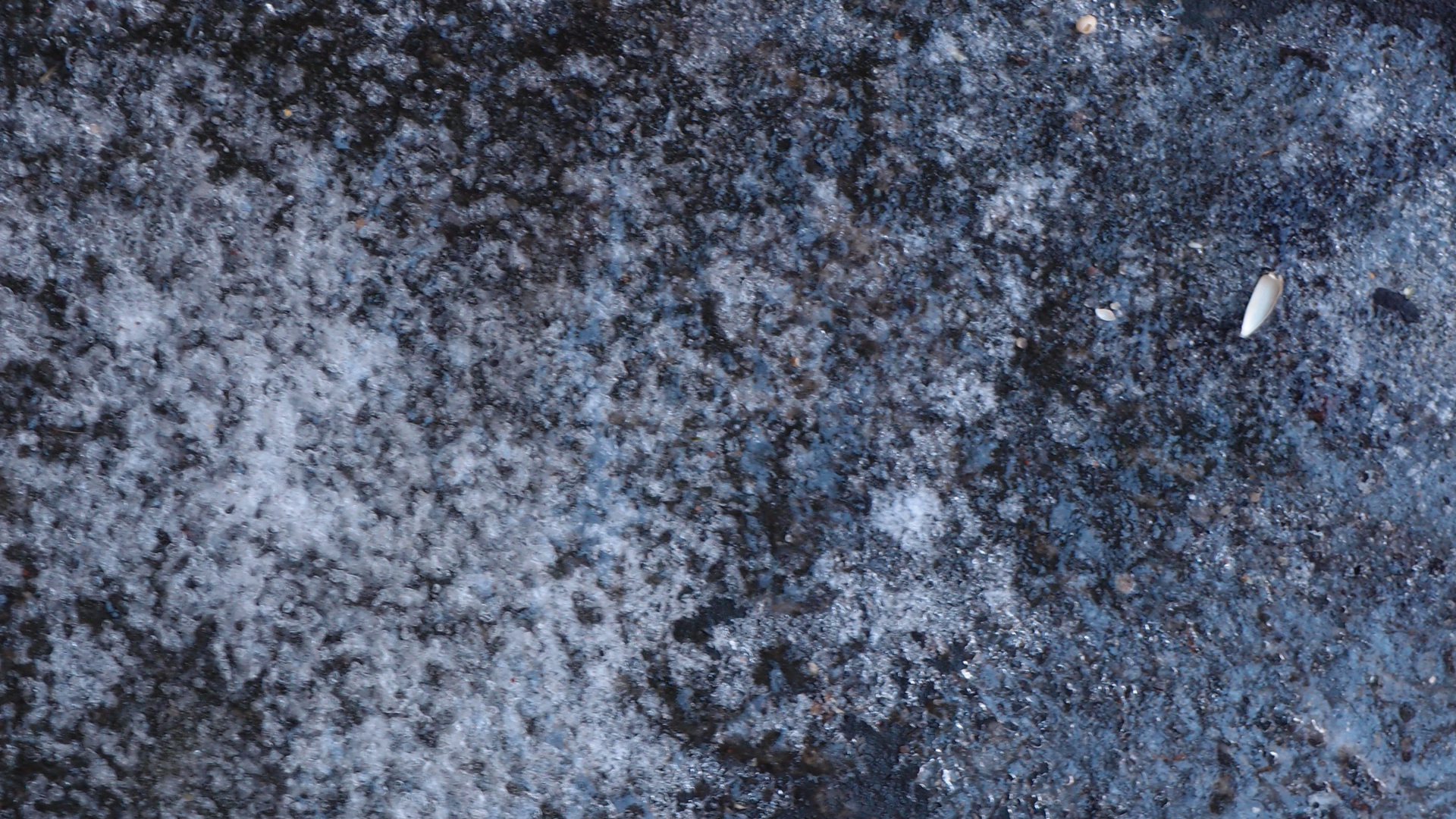 2021-01-30 Wasser in der Sple II, On-Off (Remix John Cage 'Sonatas & Interludes') (Komposition, Remix, Recording, Foto)